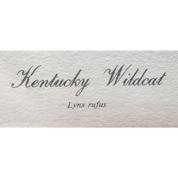 Jim Oliver Kentucky Wildcat Lithograph Plate 32 Signed Embossed Framed Art - Picture 7 of 12